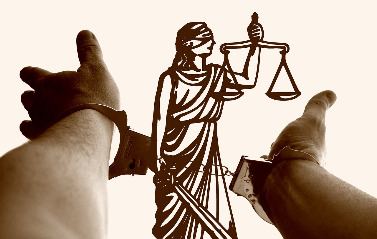 image de la formation : Libertés, sécurité, responsabilités